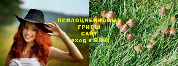 трава Нефтекумск